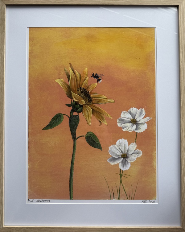 Solglimt - kunsttrykk