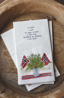 Trend Serviett - 17 Mai, 20pk ikke relevant - Trend Design