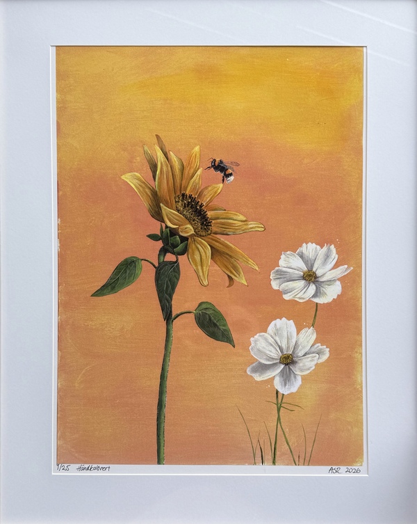 Solglimt - kunsttrykk