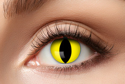 LENS 1 WEEK YELLOW CAT W45 Linser gul - Halloween